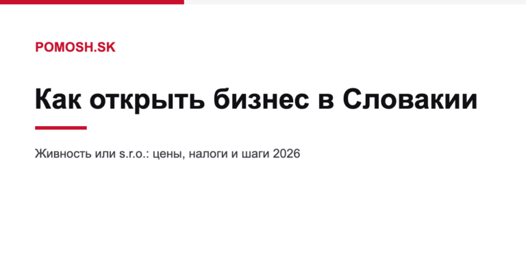 Как открыть бизнес в Словакии в 2026 году: живность или s.r.o.